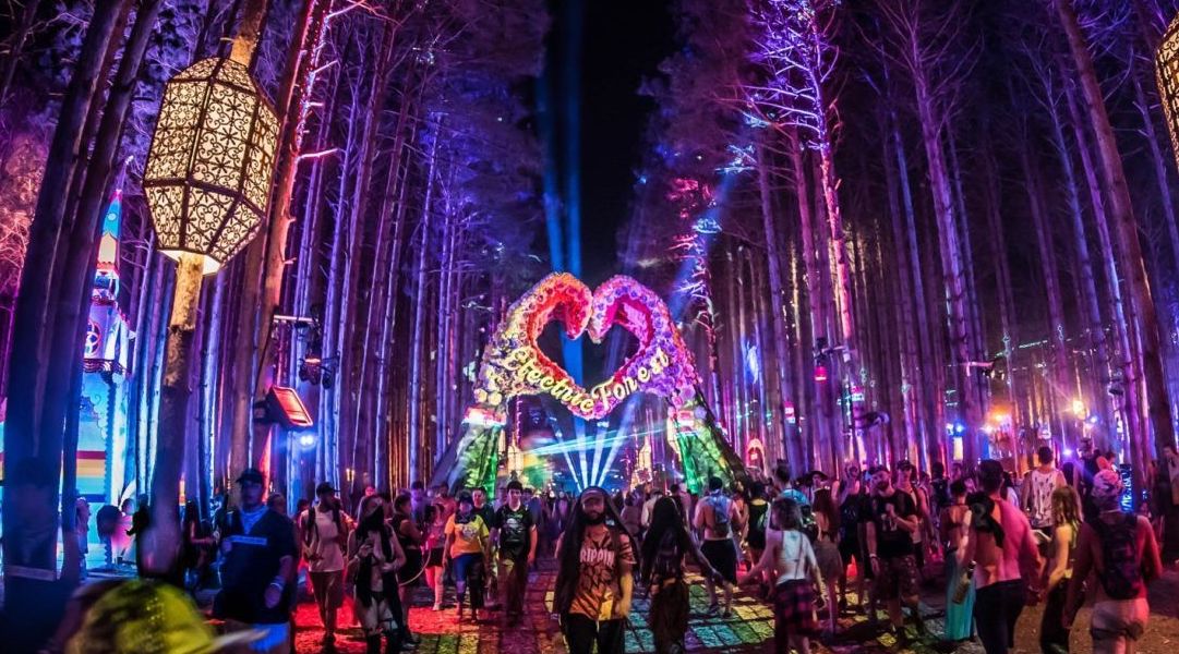 Hidden Features to Check Out at Electric Forest Lunchbox Packs